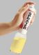 Preval Sprayer