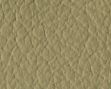 Skoda ivory beige