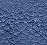 Volvo skagen blue